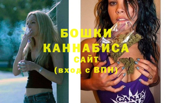 трава Инта