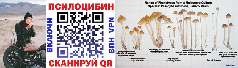 Псилоцибиновые грибы GOLDEN TEACHER  Купить закладки  Петровск 